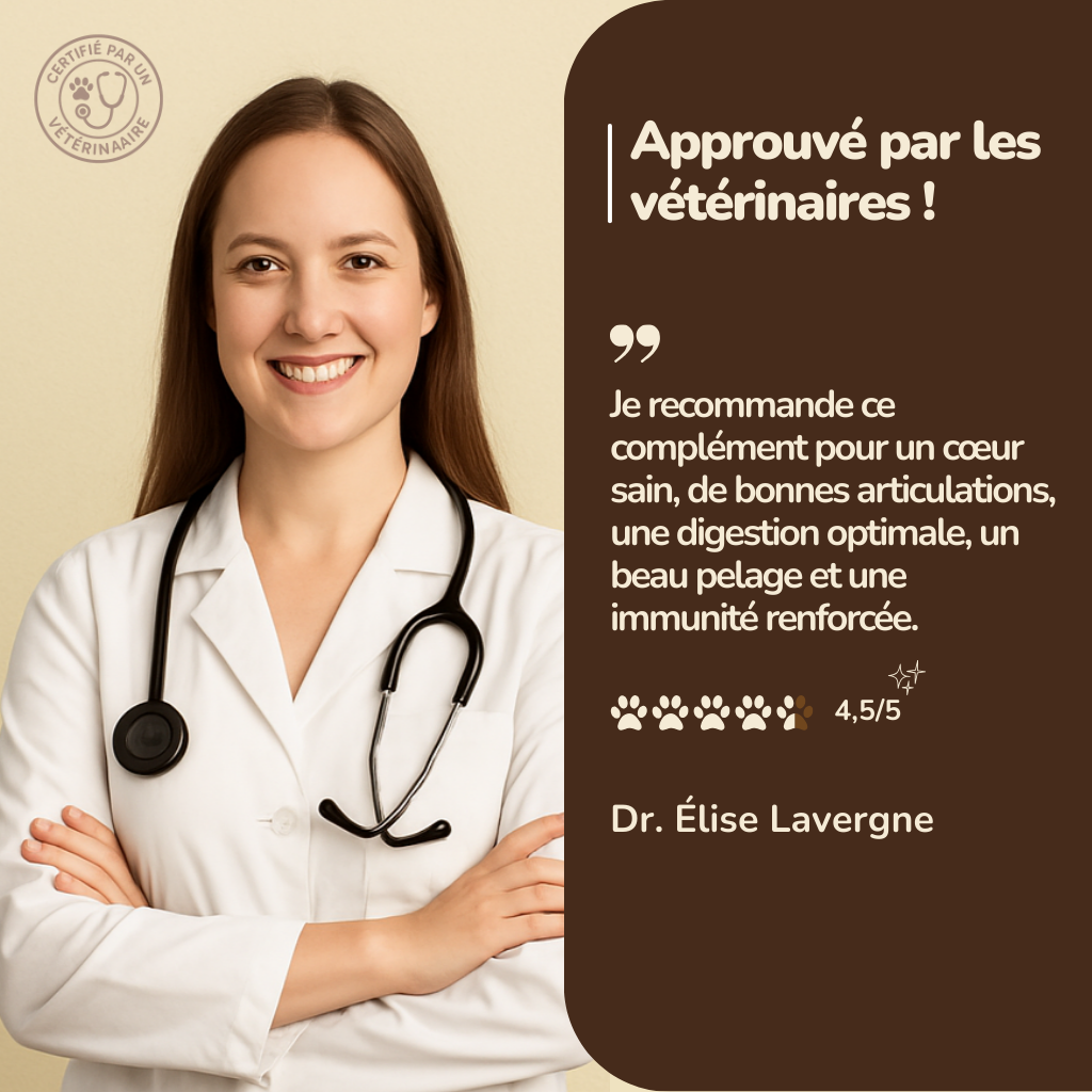 Multivitamine – Formule Premium pour l’Énergie, la Mobilité et l’Immunité de Votre Chien