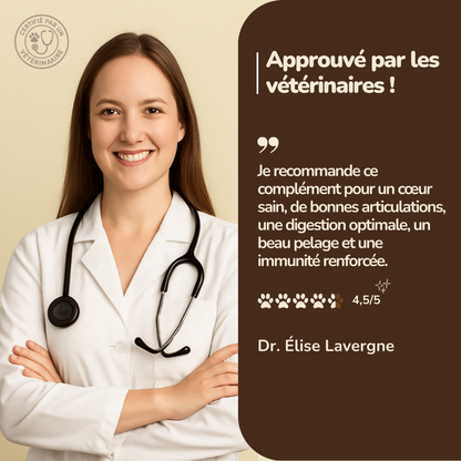 Multivitamine – Formule Premium pour l’Énergie, la Mobilité et l’Immunité de Votre Chien