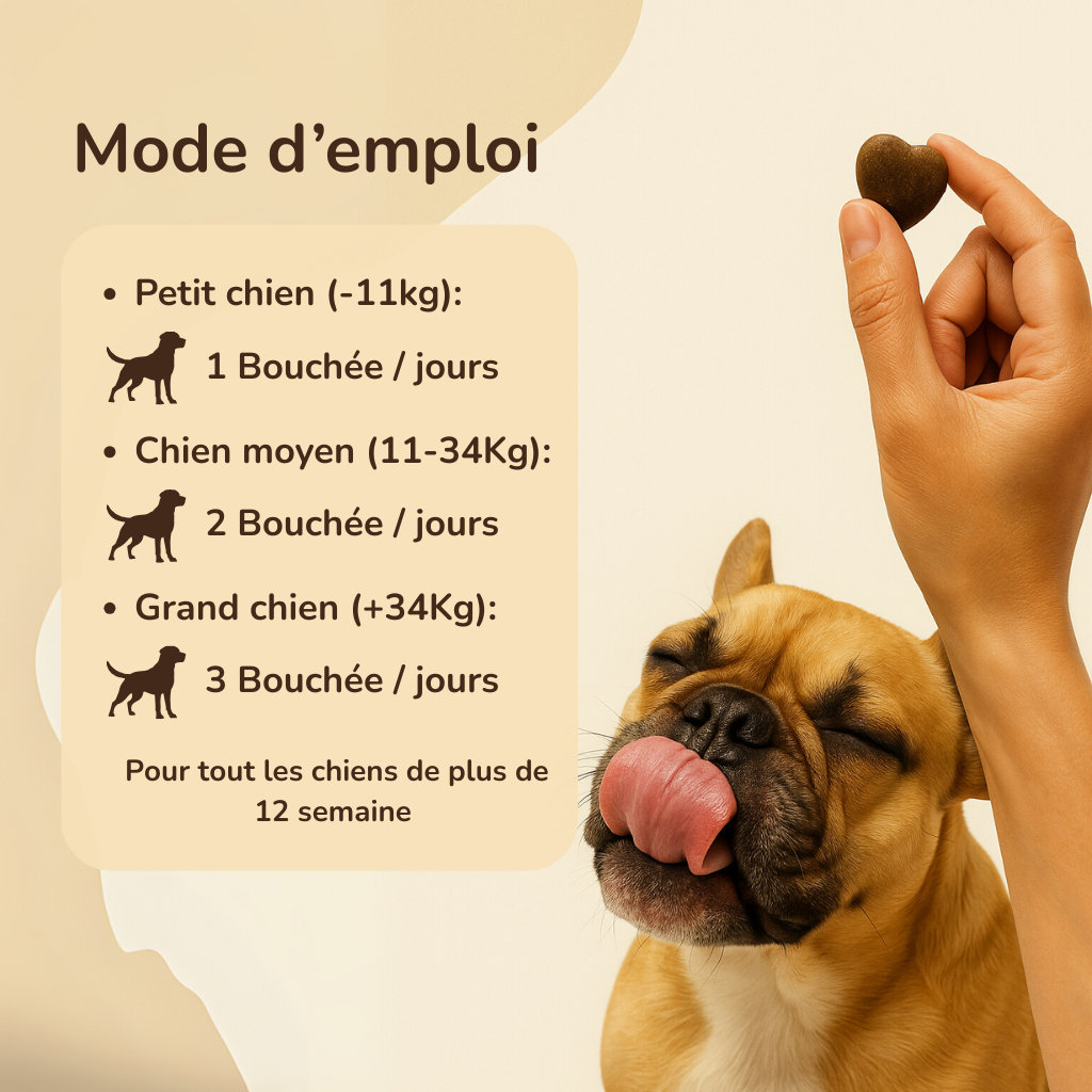 Multivitamine – Formule Premium pour l’Énergie, la Mobilité et l’Immunité de Votre Chien